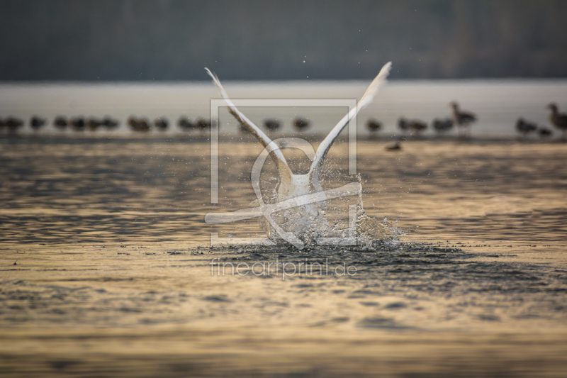 frei w&auml;hlbarer Bildausschnitt f&uuml;r Ihr Bild auf Tasse