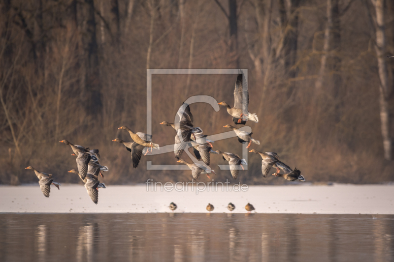 frei wählbarer Bildausschnitt für Ihr Bild auf Tasse