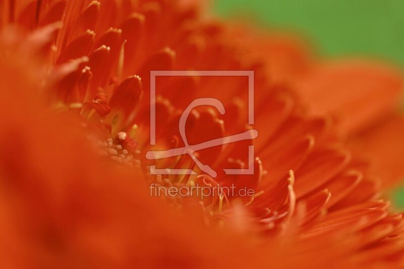 frei w&auml;hlbarer Bildausschnitt f&uuml;r Ihr Bild auf Tasse