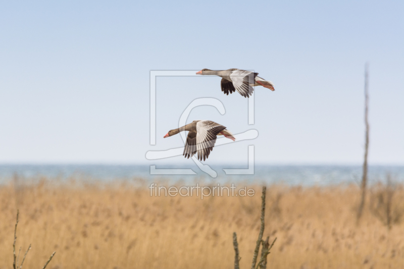 frei w&auml;hlbarer Bildausschnitt f&uuml;r Ihr Bild auf Tasse