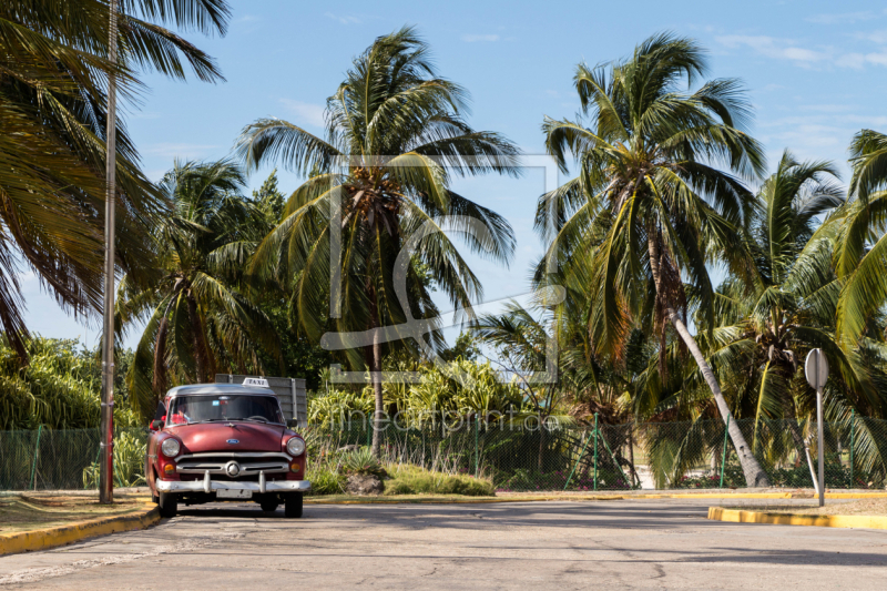 frei wählbarer Bildausschnitt für Ihr Bild auf Tasse
