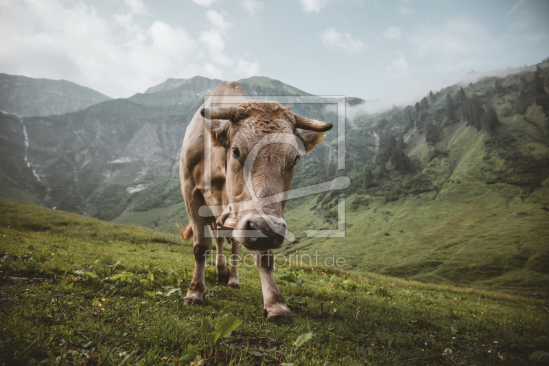 frei wählbarer Bildausschnitt für Ihr Bild auf Tasse
