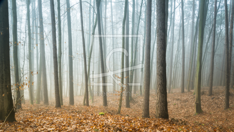 frei wählbarer Bildausschnitt für Ihr Bild auf Tasse
