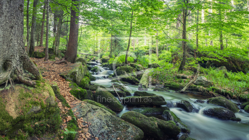 frei w&auml;hlbarer Bildausschnitt f&uuml;r Ihr Bild auf Tasse