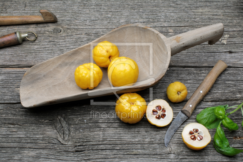 frei w&auml;hlbarer Bildausschnitt f&uuml;r Ihr Bild auf Tasse