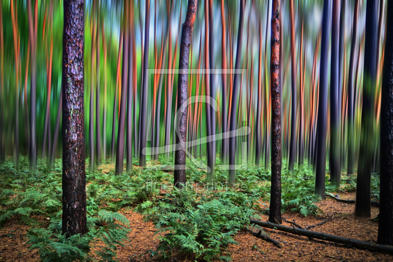 frei wählbarer Bildausschnitt für Ihr Bild auf Tasse