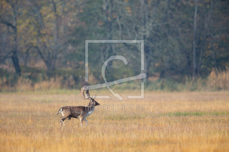 frei w&auml;hlbarer Bildausschnitt f&uuml;r Ihr Bild auf Tasse