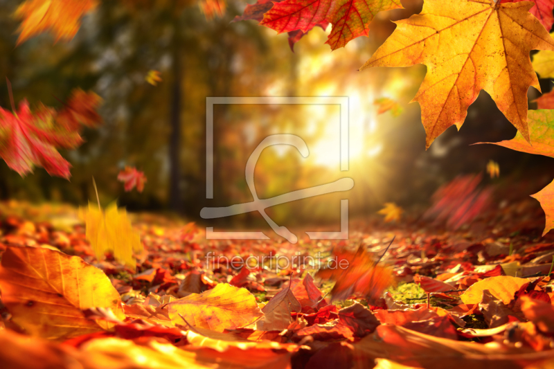 frei wählbarer Bildausschnitt für Ihr Bild auf Tasse