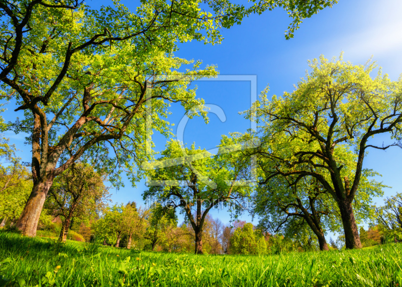 frei w&auml;hlbarer Bildausschnitt f&uuml;r Ihr Bild auf Tasse
