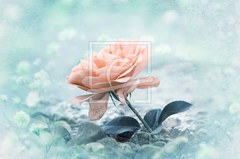 frei wählbarer Bildausschnitt für Ihr Bild auf Tasse