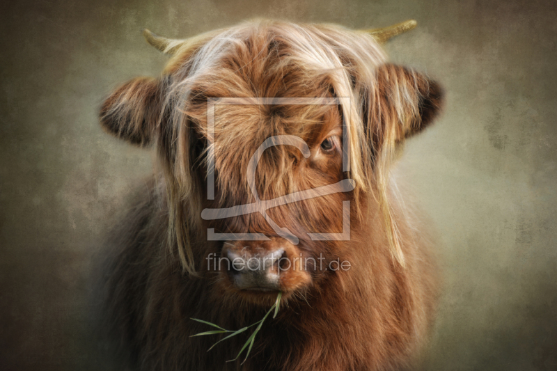 frei wählbarer Bildausschnitt für Ihr Bild auf Tasse