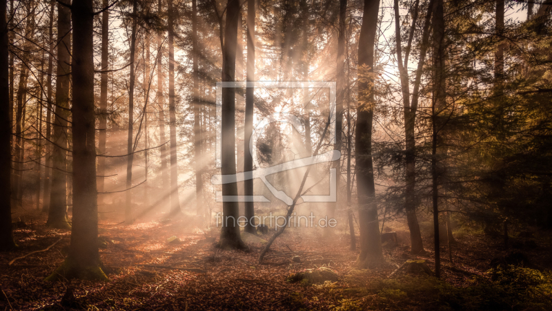 frei w&auml;hlbarer Bildausschnitt f&uuml;r Ihr Bild auf Tasse