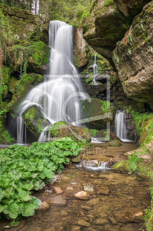 frei w&auml;hlbarer Bildausschnitt f&uuml;r Ihr Bild auf Tasse