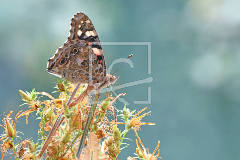 frei w&auml;hlbarer Bildausschnitt f&uuml;r Ihr Bild auf Tasse