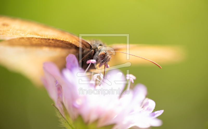 frei wählbarer Bildausschnitt für Ihr Bild auf Tasse