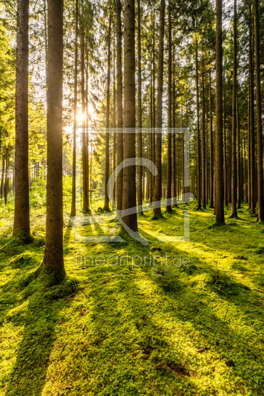 frei w&auml;hlbarer Bildausschnitt f&uuml;r Ihr Bild auf Tasse