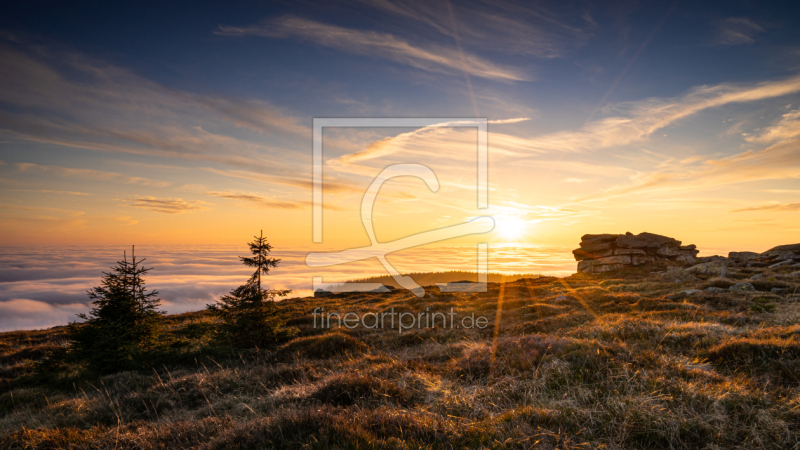 frei w&auml;hlbarer Bildausschnitt f&uuml;r Ihr Bild auf Tasse