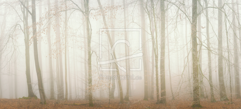 frei wählbarer Bildausschnitt für Ihr Bild auf Tasse