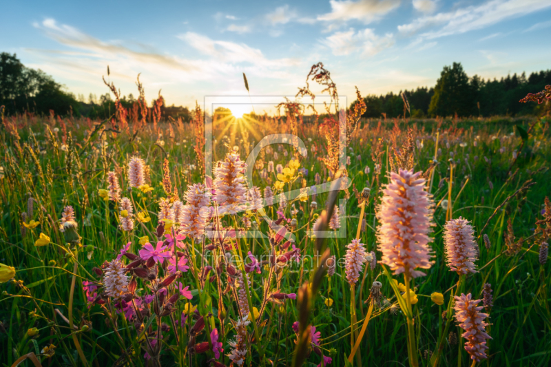 frei w&auml;hlbarer Bildausschnitt f&uuml;r Ihr Bild auf Tasse