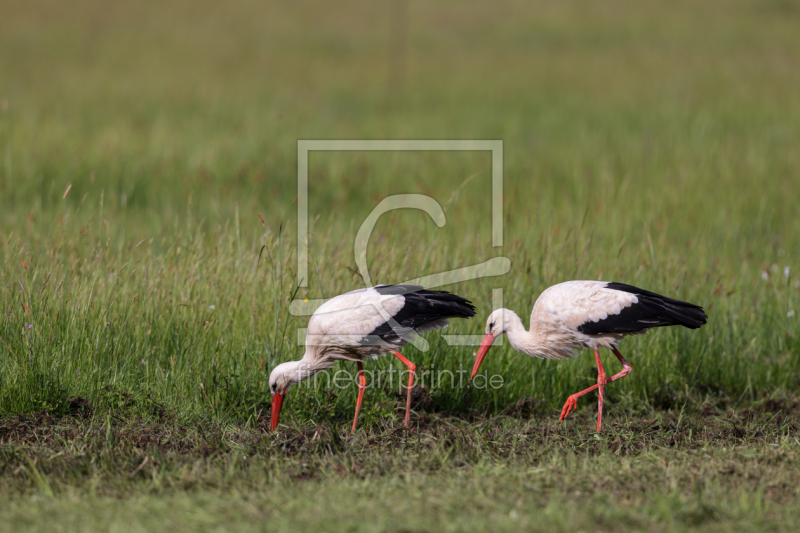 frei wählbarer Bildausschnitt für Ihr Bild auf Tasse