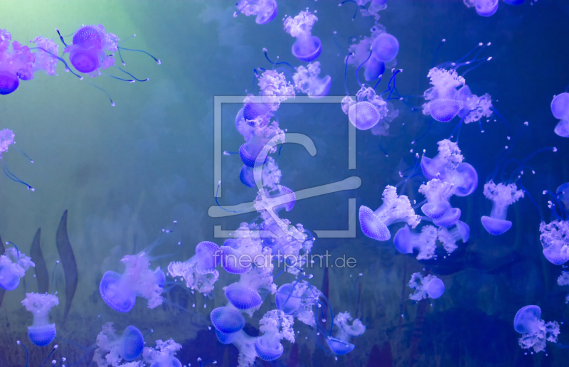 frei w&auml;hlbarer Bildausschnitt f&uuml;r Ihr Bild auf Tasse