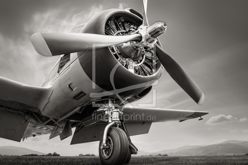 frei w&auml;hlbarer Bildausschnitt f&uuml;r Ihr Bild auf Tasse