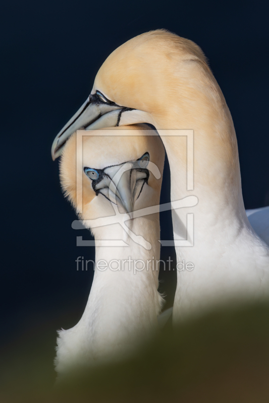 frei w&auml;hlbarer Bildausschnitt f&uuml;r Ihr Bild auf Tasse