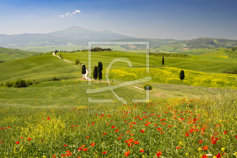 frei w&auml;hlbarer Bildausschnitt f&uuml;r Ihr Bild auf Tasse