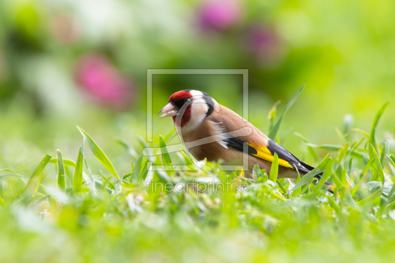 frei w&auml;hlbarer Bildausschnitt f&uuml;r Ihr Bild auf Tasse