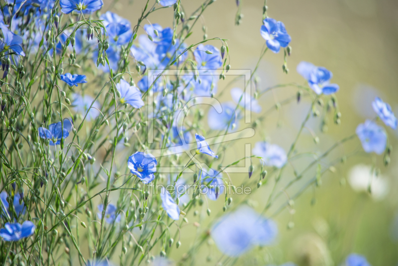 frei wählbarer Bildausschnitt für Ihr Bild auf Tasse