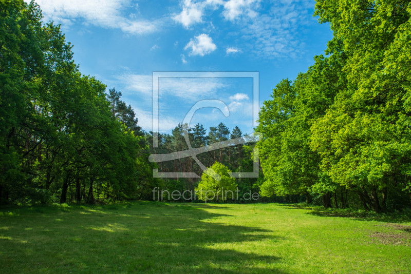 frei w&auml;hlbarer Bildausschnitt f&uuml;r Ihr Bild auf Tasse