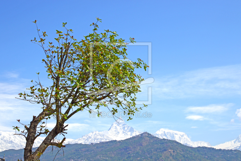 frei wählbarer Bildausschnitt für Ihr Bild auf Tasse