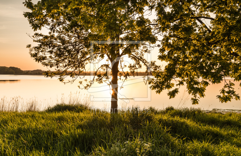 frei w&auml;hlbarer Bildausschnitt f&uuml;r Ihr Bild auf Tasse