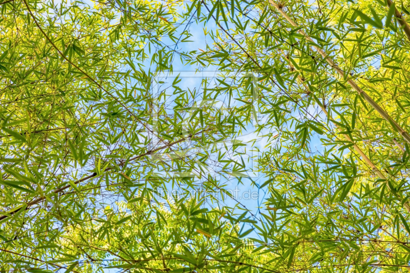 frei wählbarer Bildausschnitt für Ihr Bild auf Tasse