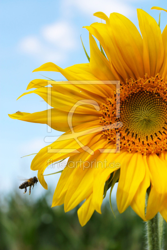 frei w&auml;hlbarer Bildausschnitt f&uuml;r Ihr Bild auf Tasse
