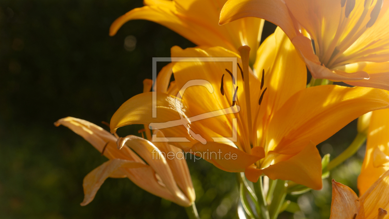 frei w&auml;hlbarer Bildausschnitt f&uuml;r Ihr Bild auf Tasse