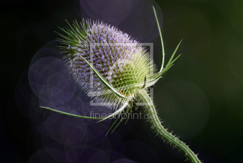 frei wählbarer Bildausschnitt für Ihr Bild auf Tasse