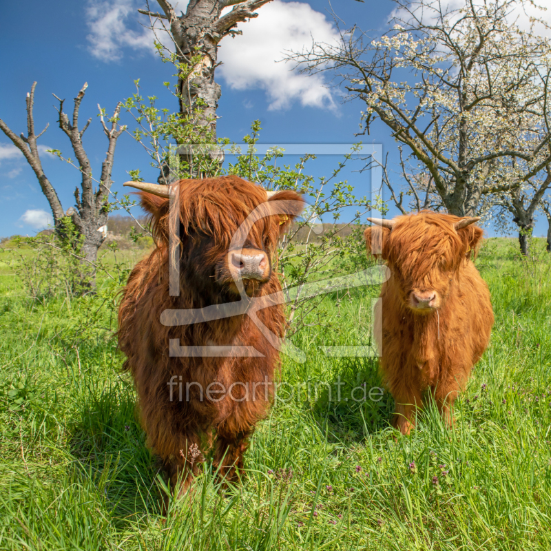 frei w&auml;hlbarer Bildausschnitt f&uuml;r Ihr Bild auf Tasse