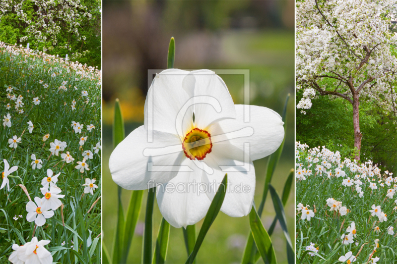 frei wählbarer Bildausschnitt für Ihr Bild auf Tasse