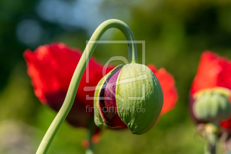 frei w&auml;hlbarer Bildausschnitt f&uuml;r Ihr Bild auf Tasse
