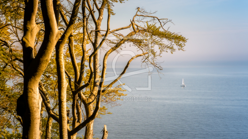 frei wählbarer Bildausschnitt für Ihr Bild auf Tasse