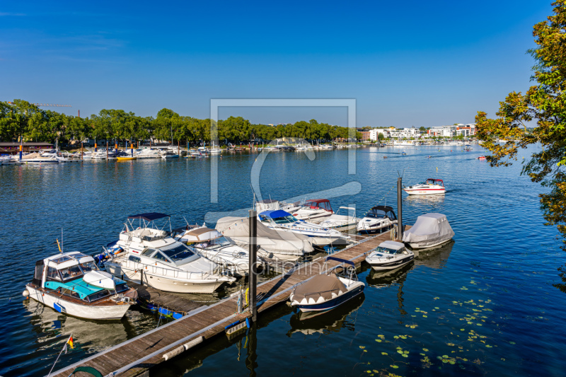 frei w&auml;hlbarer Bildausschnitt f&uuml;r Ihr Bild auf Tasse