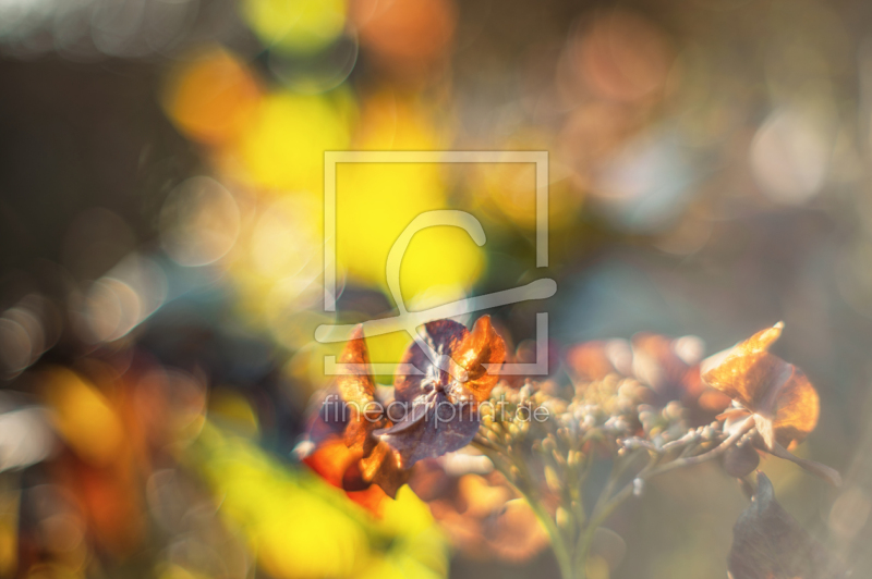 frei w&auml;hlbarer Bildausschnitt f&uuml;r Ihr Bild auf Tasse