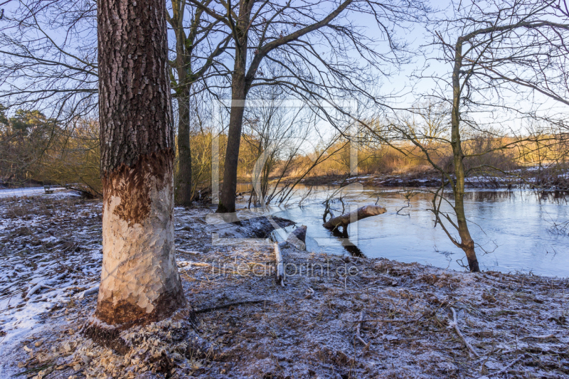 frei w&auml;hlbarer Bildausschnitt f&uuml;r Ihr Bild auf Tasse