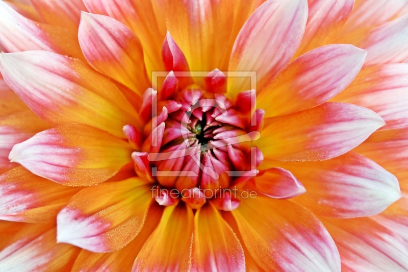 frei w&auml;hlbarer Bildausschnitt f&uuml;r Ihr Bild auf Tasse