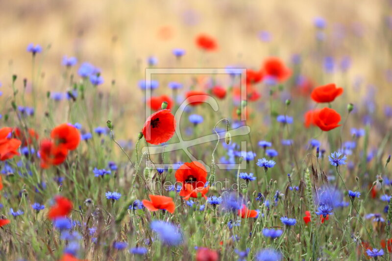 frei wählbarer Bildausschnitt für Ihr Bild auf Tasse