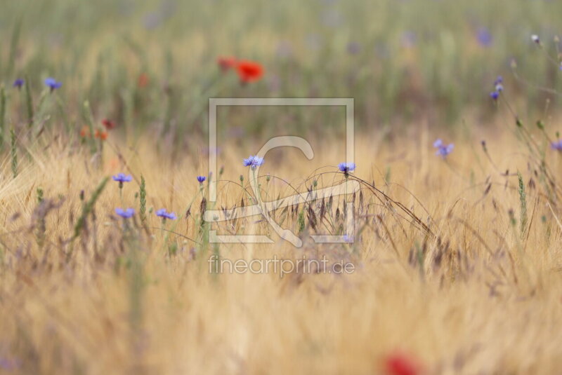 frei wählbarer Bildausschnitt für Ihr Bild auf Tasse
