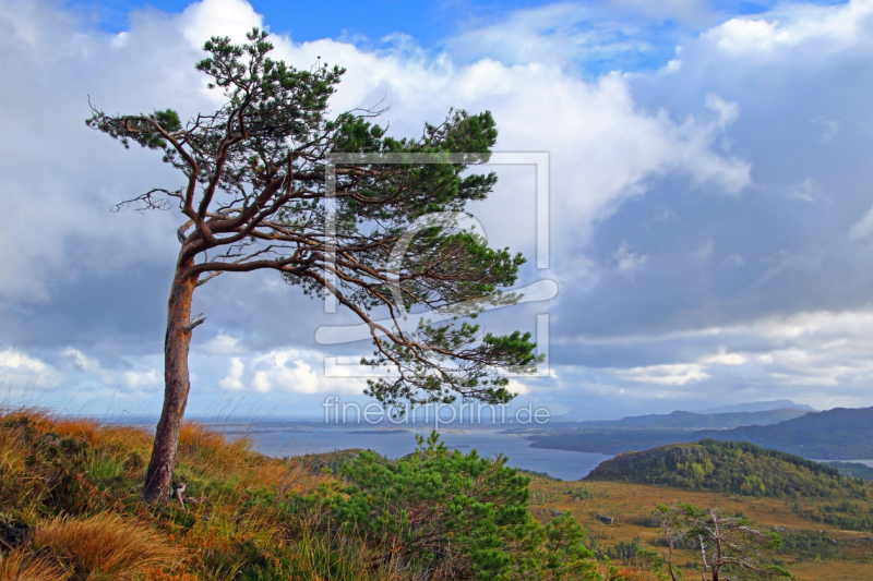 frei wählbarer Bildausschnitt für Ihr Bild auf Tasse