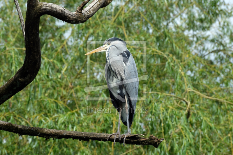 frei wählbarer Bildausschnitt für Ihr Bild auf Tasse