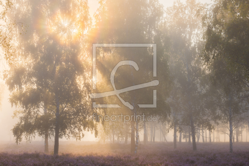 frei w&auml;hlbarer Bildausschnitt f&uuml;r Ihr Bild auf Tasse